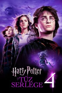 دانلود دوبله فارسی فیلم Harry Potter and the Goblet of Fire 2005